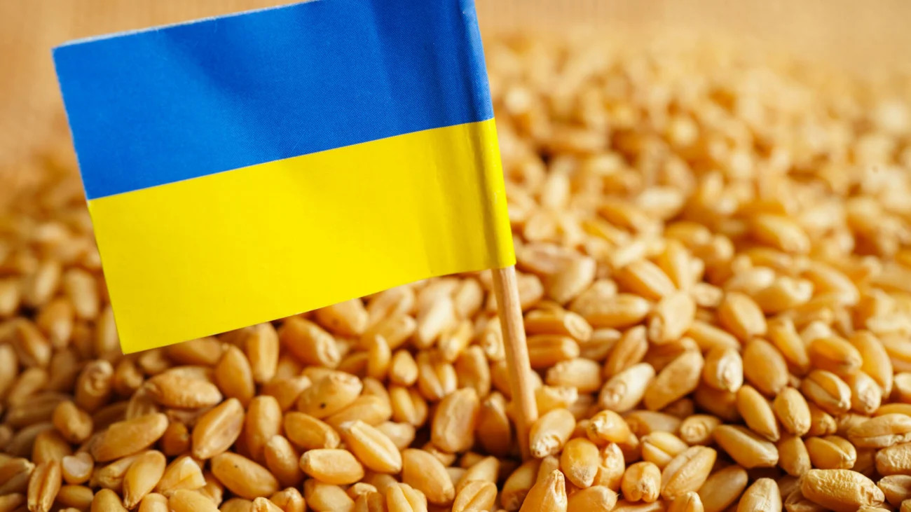 Ukraine and Poland deepen agricultural cooperation to strengthen Europe’s food security