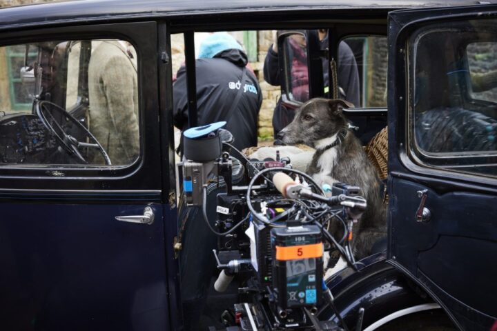 Behind the scenes of All Creatures Great and Small: The animals in makeup and their training