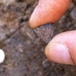 Earliest evidence of human-made fire discovered in eastern England's Barnham site