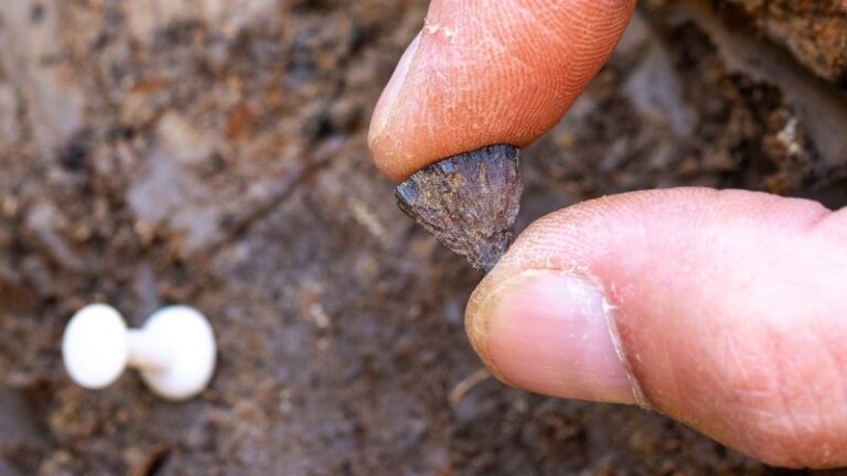 Earliest evidence of human-made fire discovered in eastern England’s ...