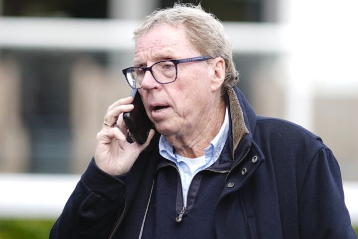 Harry Redknapp submits third planning application to demolish £1.5 million Dorset home