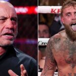 Joe Rogan warns Jake Paul about risks of brain damage and addiction after Joshua defeat