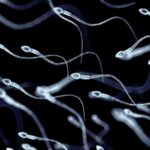 Sperm donor with cancer-linked gene fathered 197 children across Europe, some have died