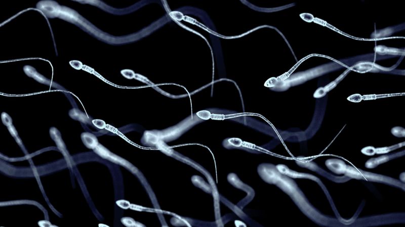 Sperm donor with cancer-linked gene fathered 197 children across Europe, some have died