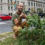 Tragic mushroom poisoning incident highlights dangers of foraging for wild food
