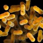 US reports nearly 28,000 whooping cough cases this year, highlighting vaccination concerns