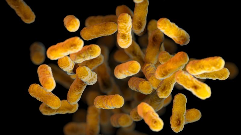 US reports nearly 28,000 whooping cough cases this year, highlighting vaccination concerns