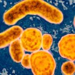 US vaccine advisers debate potential removal of universal hepatitis B vaccine recommendation for infants