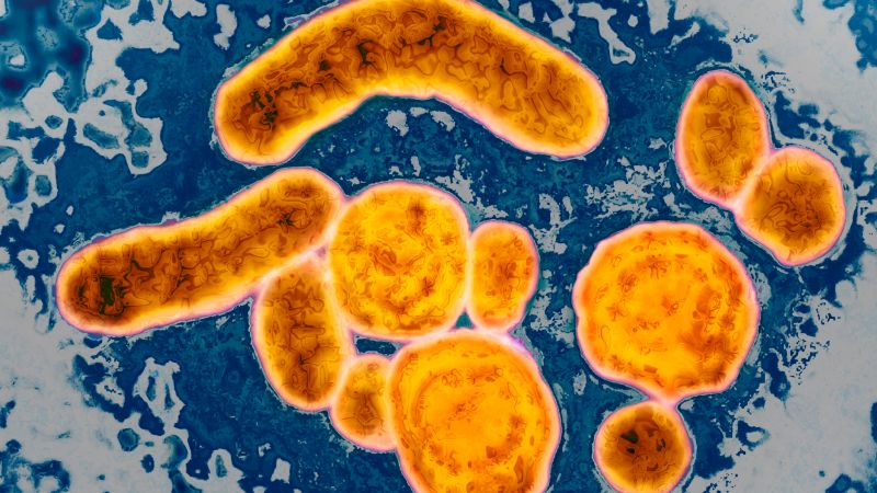 US vaccine advisers debate potential removal of universal hepatitis B vaccine recommendation for infants