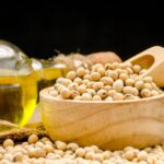 Ukraine emerges as a key EU supplier of processed soy, cutting logistics risks and stabilising costs