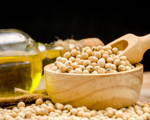 Ukraine emerges as a key EU supplier of processed soy, cutting logistics risks and stabilising costs