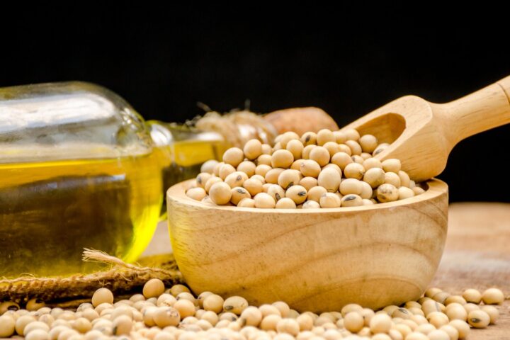 Ukraine emerges as a key EU supplier of processed soy, cutting logistics risks and stabilising costs