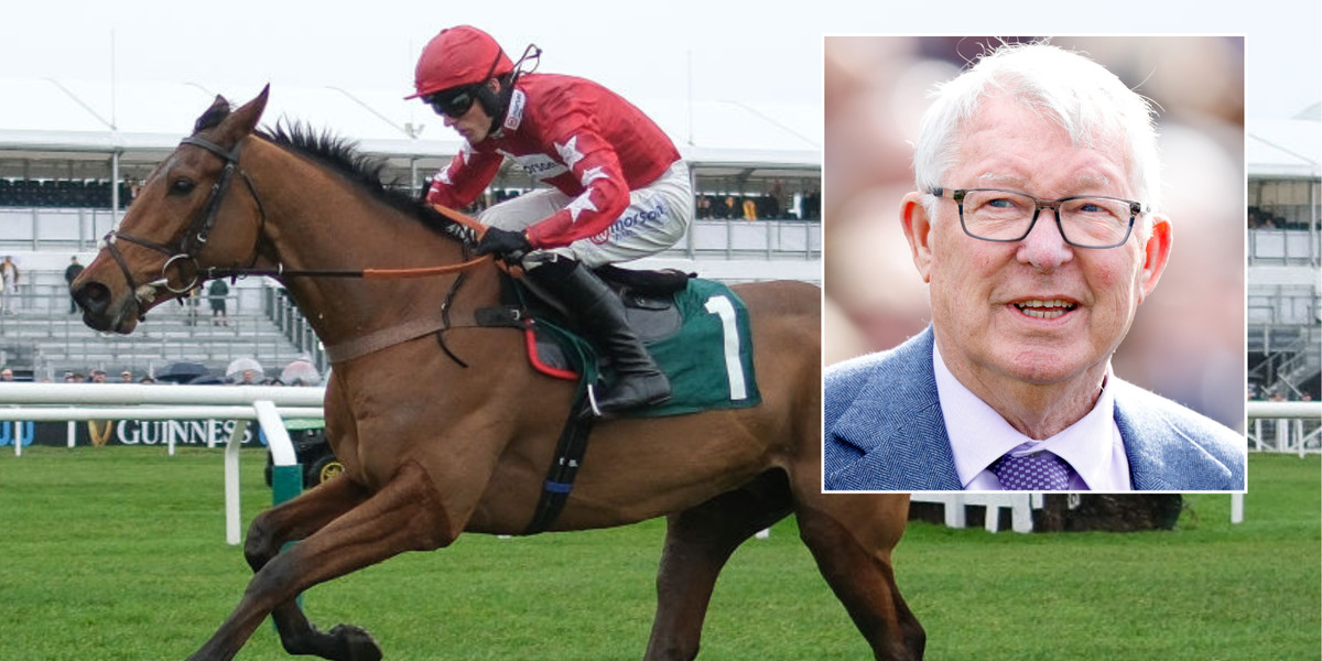 Alex Ferguson's racehorse dies after fall at Kempton Park during chase event