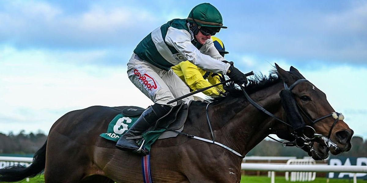 Dublin Racing Festival faces possible cancellation due to severe flooding at Leopardstown