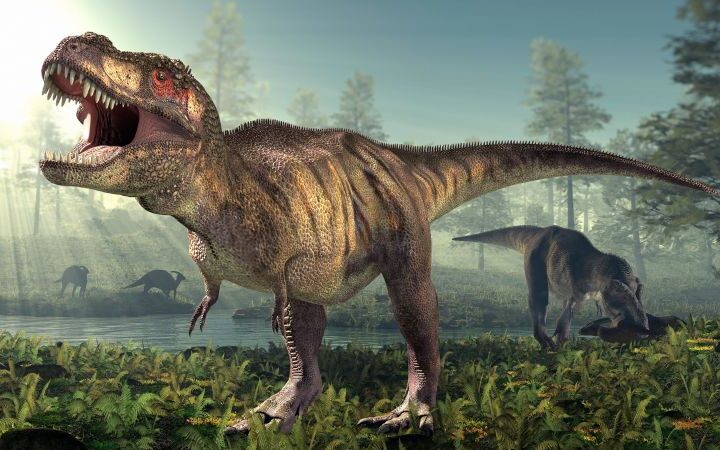 New study reveals T. rex took 35 years to reach full size, challenging growth assumptions