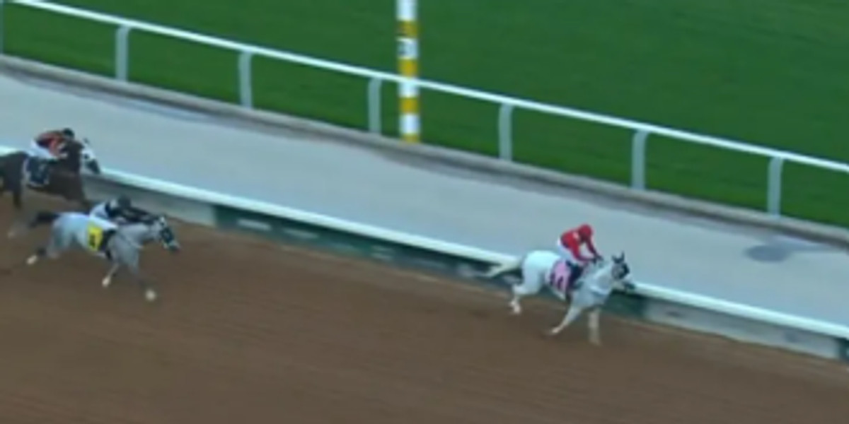 Outrage in horse racing as punters call for lifetime ban of jockey after dramatic finish