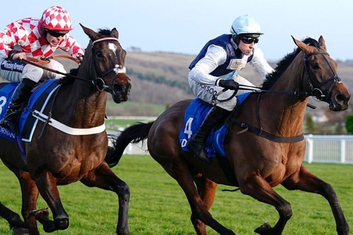 Record crowd attends sold-out New Year's Day horse racing at Cheltenham Racecourse