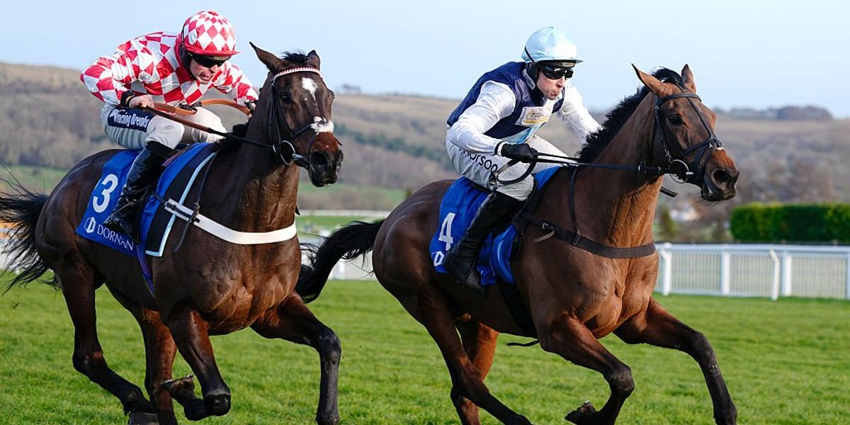 Record crowd attends sold-out New Year's Day horse racing at Cheltenham Racecourse