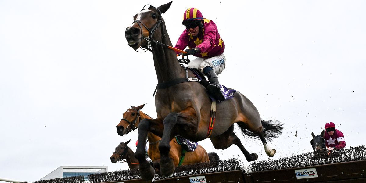 Storm Chandra disrupts Dublin Racing Festival, but staff restore course for racing