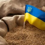 Ukrainian organic produce emerges as a strategic pillar in EU supply chains