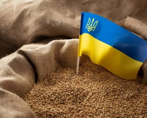 Ukrainian organic produce emerges as a strategic pillar in EU supply chains