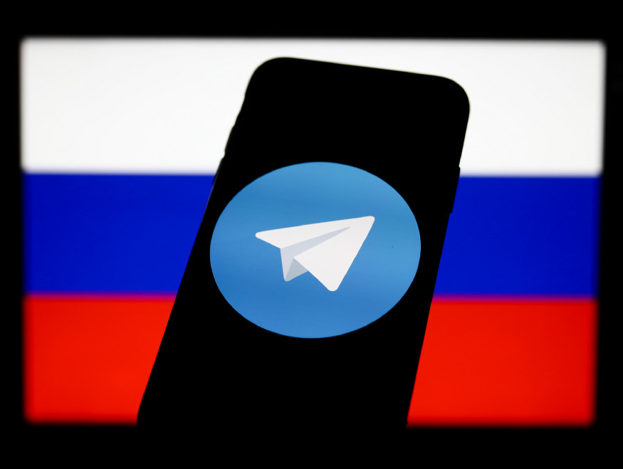 Pro-Kremlin Telegram networks reach millions of German users despite platform’s limited national role