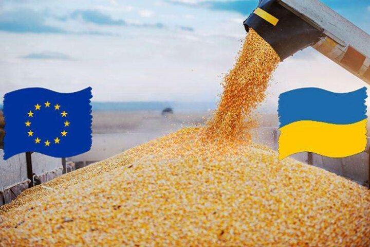 Ukrainian corn exports bolster EU food resilience by stabilising supply to key importing states