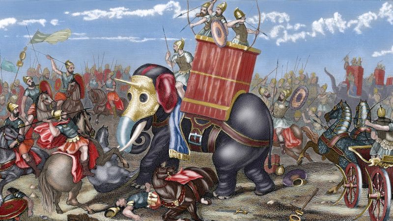 Archaeologists discover ancient elephant bone linked to Hannibal's military campaign in Spain