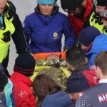 Austrian bobsleigh pilot hospitalized after crash during Winter Olympics final