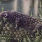 Discovery of ancient herbivore sheds light on early plant-eating land animals
