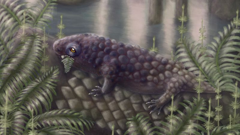 Discovery of ancient herbivore sheds light on early plant-eating land animals