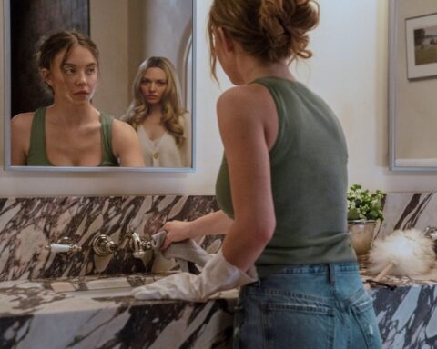 Freida McFadden faces plagiarism allegations amid soaring literary success