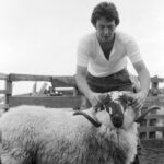 Key insights from Paul McCartney documentary highlight his post-Beatles struggles and triumphs