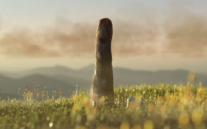 New research identifies Prototaxites as potentially an entirely unknown multicellular life form