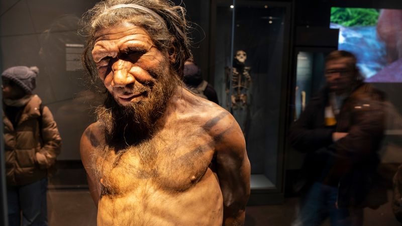 New study suggests male Neanderthals predominantly mated with female humans in ancient times