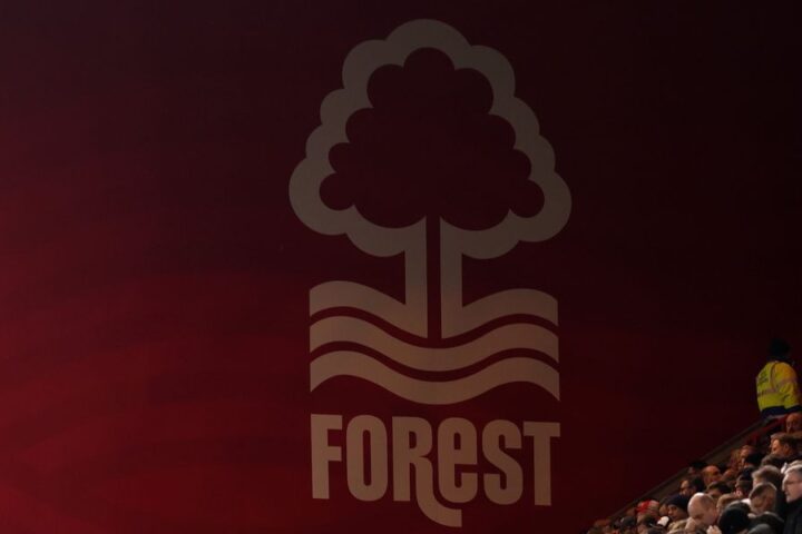 Nottingham Forest appoint Vitor Pereira as new head coach after Sean Dyche dismissal