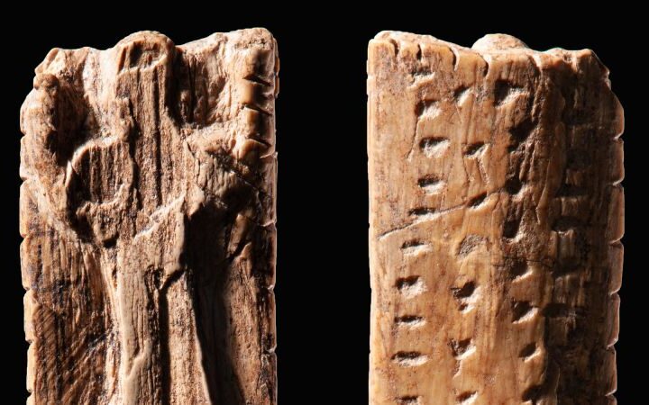 Stone Age carvings may represent an early form of written communication
