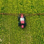 Trump's executive order on glyphosate ignites backlash from health advocates