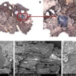 Ancient hunter-gatherers displayed advanced cooking techniques, new study reveals