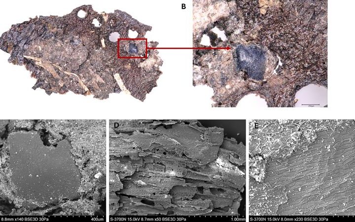 Ancient hunter-gatherers displayed advanced cooking techniques, new study reveals