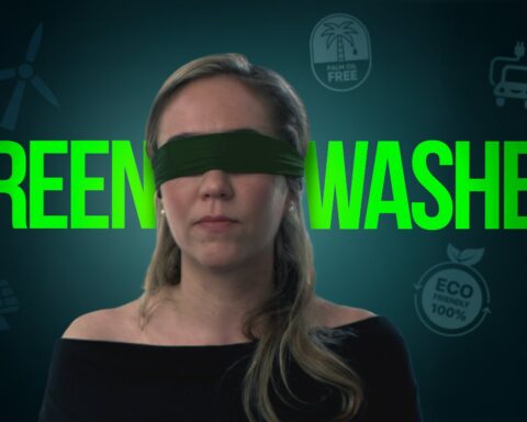 Chris Packham acknowledges delay in switching dogs to plant-based diets