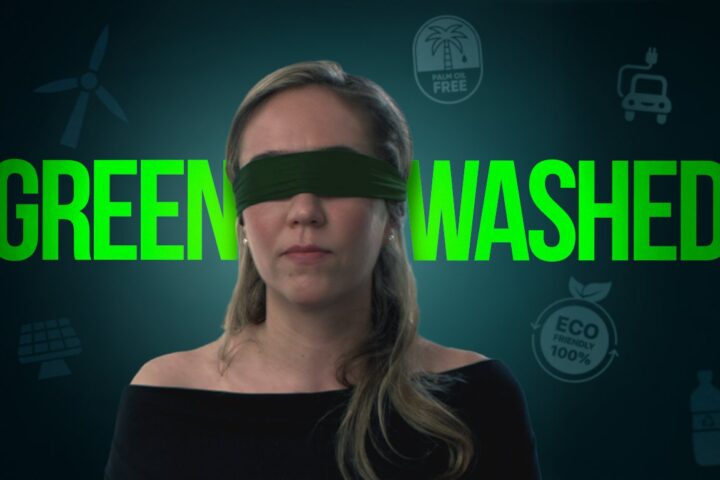 Chris Packham acknowledges delay in switching dogs to plant-based diets