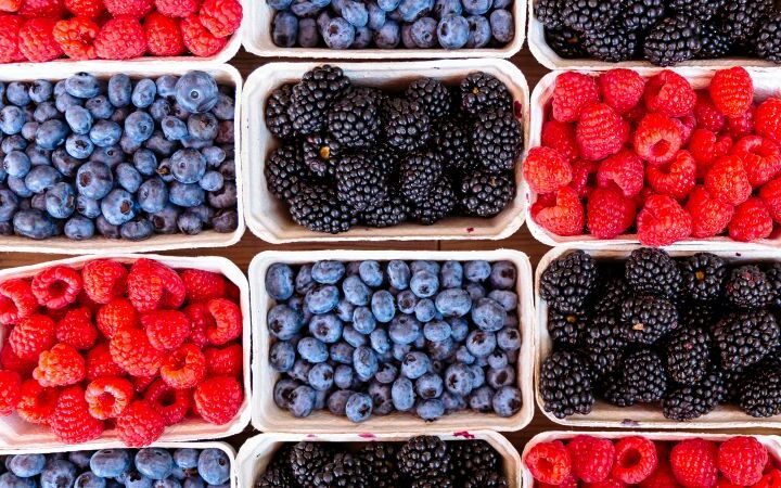 Combination of Mediterranean and DASH diets shown to slow brain aging by over two years