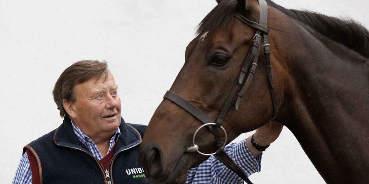 Constitution Hill withdrawn from Cheltenham Festival as welfare concerns take priority