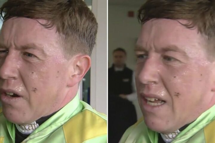 Declan Queally accuses Nico de Boinville of verbal abuse before Cheltenham race