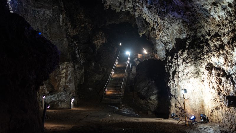 Digital reconstruction provides new insights into the face of 'Little Foot,' a 3.67 million-year-old ancestor