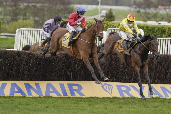 Envoi Allen dies after collapsing post-Gold Cup, marking third horse fatality at Cheltenham