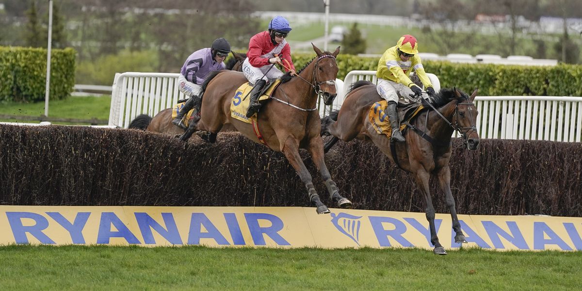 Envoi Allen dies after collapsing post-Gold Cup, marking third horse fatality at Cheltenham