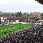 Fatal injury leads to death of horse Hansard at Cheltenham Festival opener