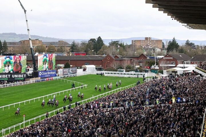 Fatal injury leads to death of horse Hansard at Cheltenham Festival opener